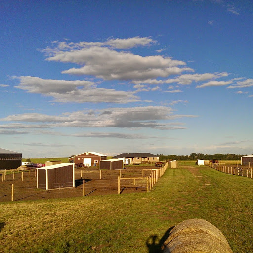 Meadowlark Stables | 22089 Township Rd 290, Crossfield, AB T0M 0X0, Canada | Phone: (403) 836-5794