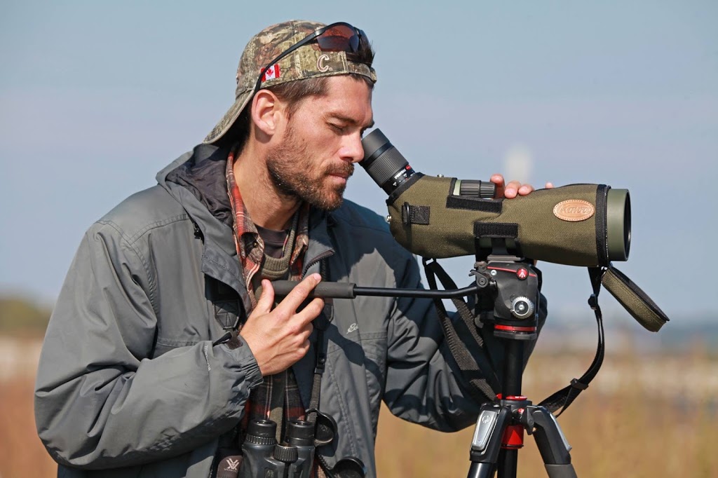 Eastern Ontario Birding | 88 Stradwick Ave, Nepean, ON K2J 2Y9, Canada | Phone: (613) 558-6821