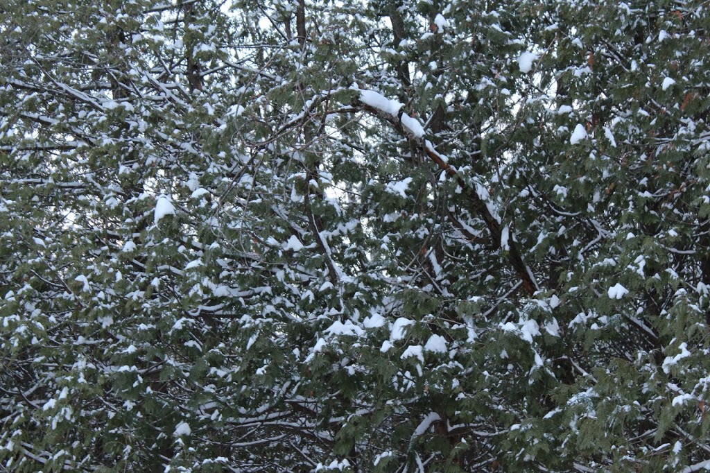 P3 Gatineau Park | Prom. de la Gatineau, Gatineau, QC J9A, Canada | Phone: (819) 827-2020