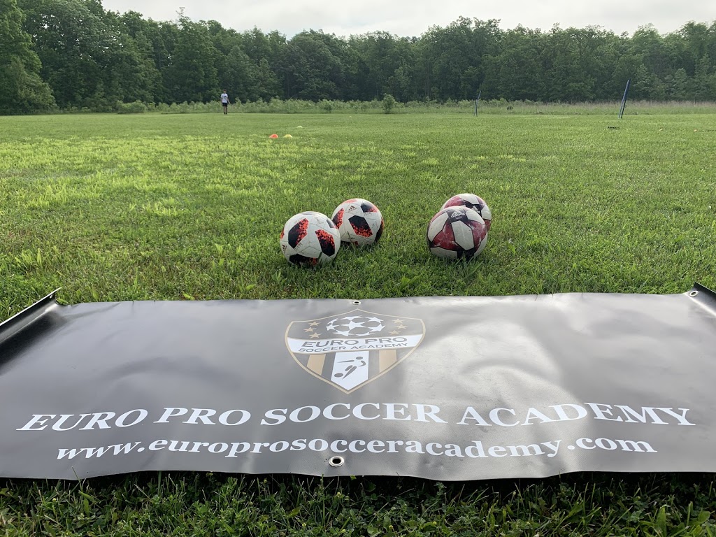 EURO PRO SOCCER ACADEMY | 288 Kemp Rd W, Grimsby, ON L3M 4E7, Canada | Phone: (905) 975-3996