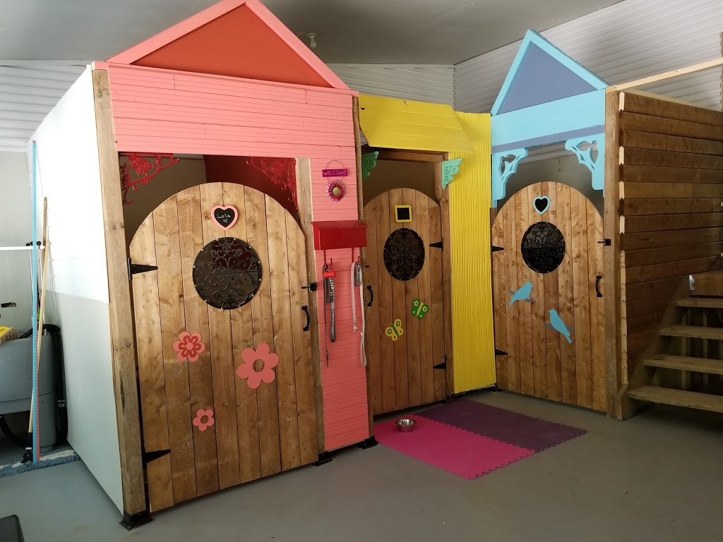 Golden Acres Dog Resort | 6073 5th Line, Rockwood, ON N0B 2K0, Canada | Phone: (416) 500-8332