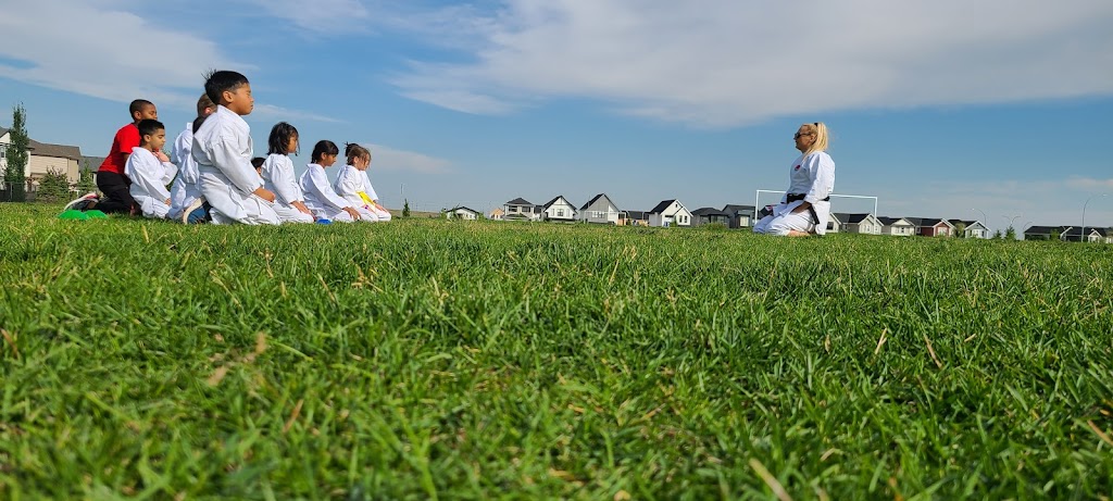 JKA Karate-Do Empow-LIL Academy - 4995 Market St SE, Calgary, AB T3M