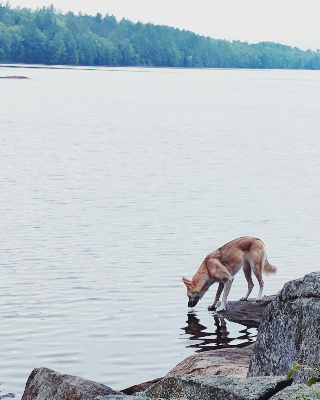 Deerock Lake Conservation Area | 390 Deer Rock Lake Rd, Flinton, ON K0H 1P0, Canada | Phone: (613) 968-3434