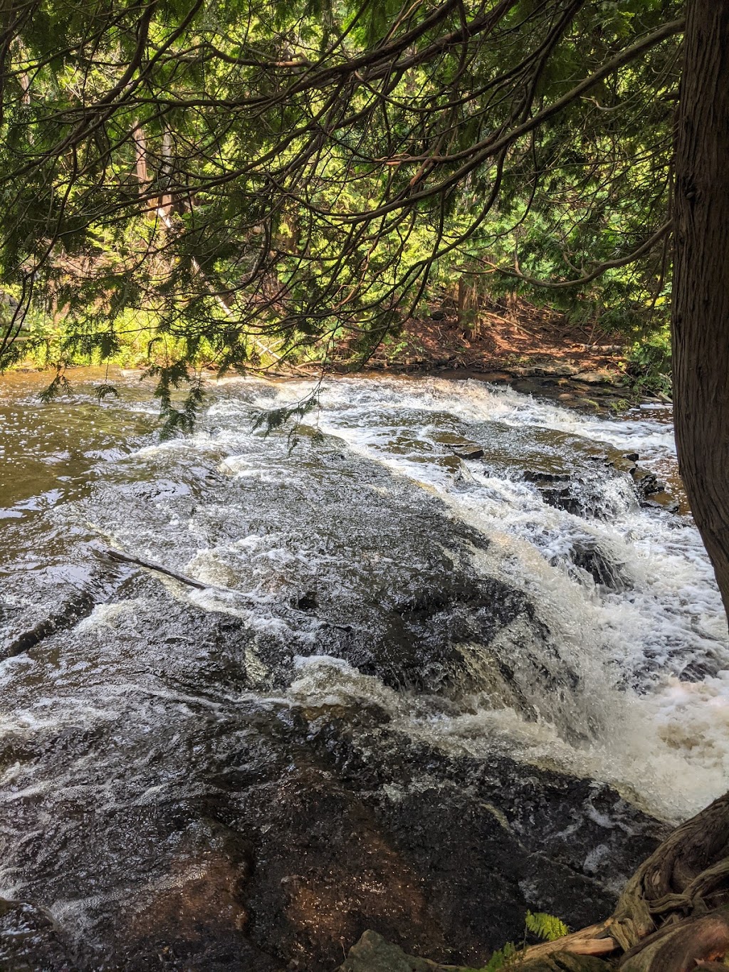 Pottawatomi Conservation Area | 717875 ON-6, Owen Sound, ON N4K 5N7, Canada | Phone: (519) 376-3076