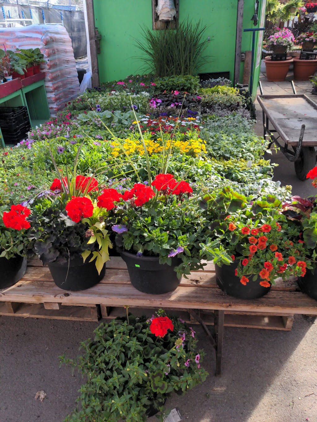 Delorme Fruits & Légumes | 3667 Rue Queen, Rawdon, QC J0K 1S0, Canada | Phone: (450) 834-6764