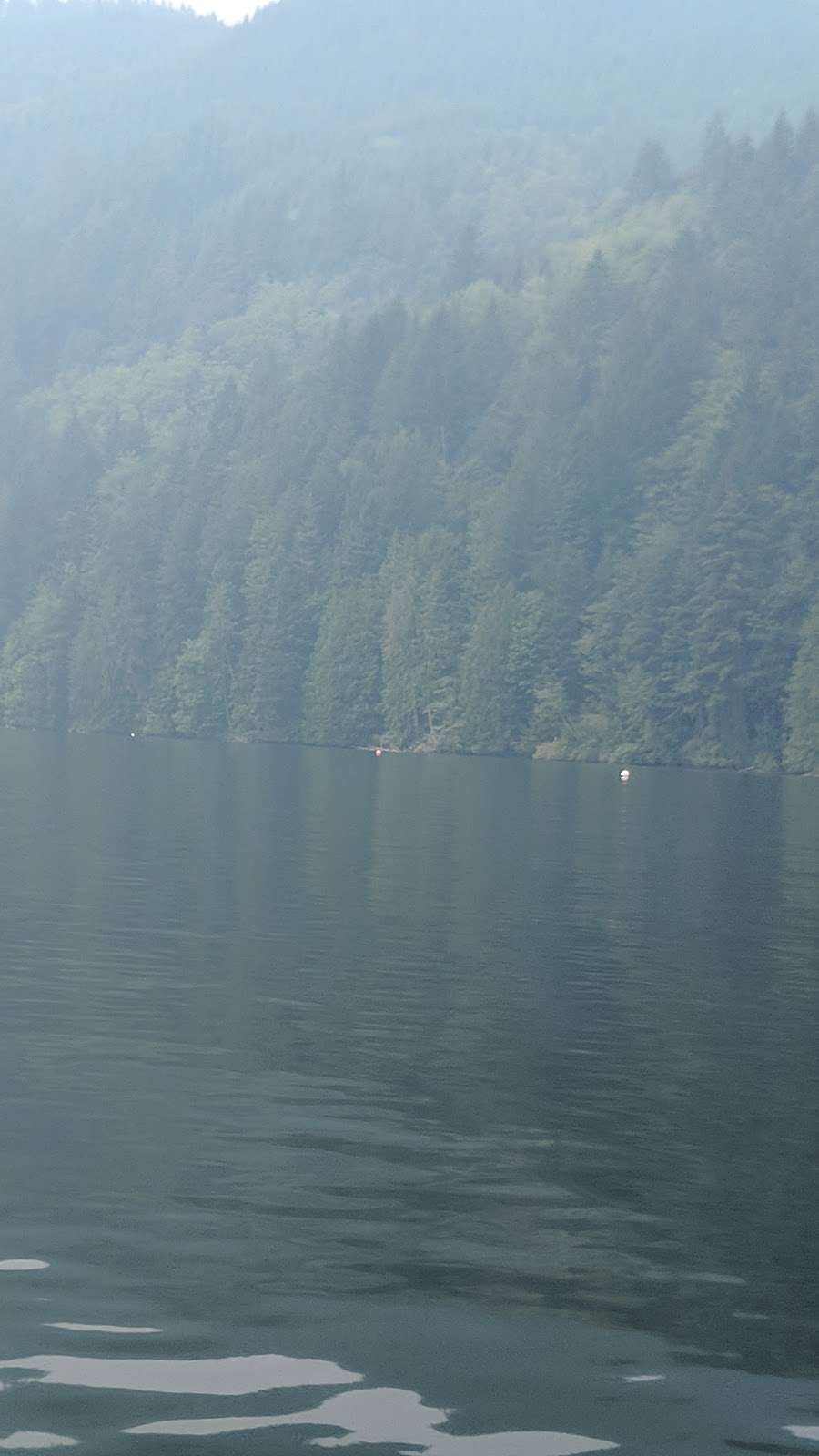 Nala Island | Axelson Rd, Bellingham, WA 98229, USA