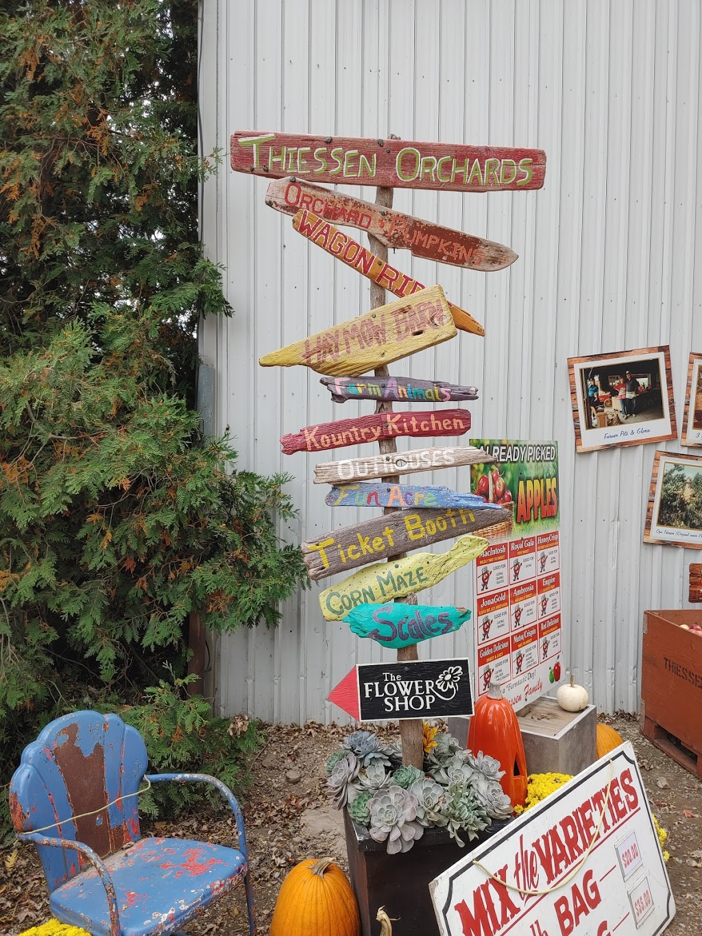 Thiessen Apple Orchard | 400 Talbot Rd E, Leamington, ON N8H 3V6, Canada | Phone: (519) 326-5282