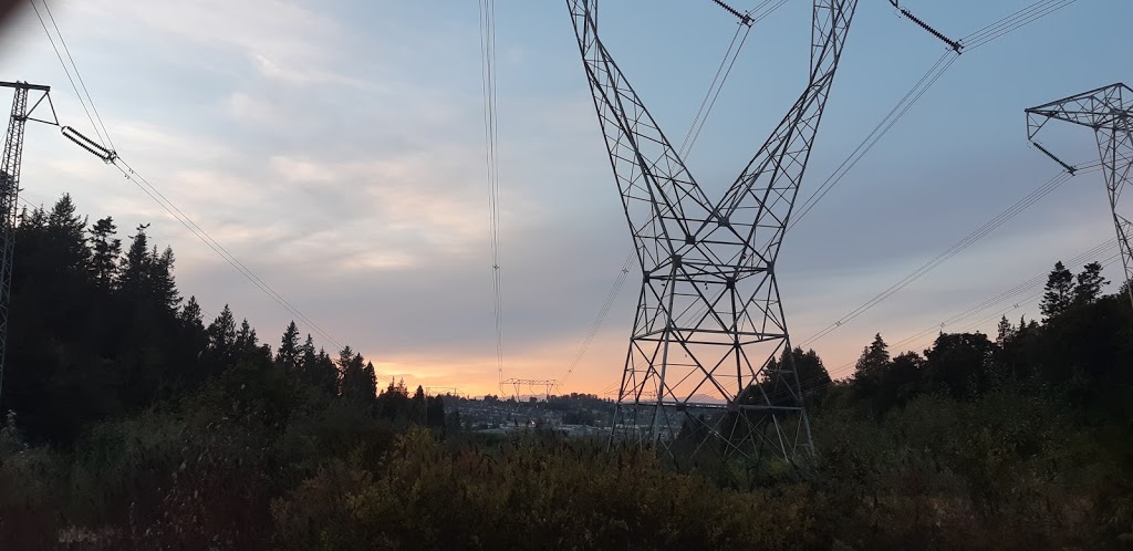 Buckley Park | 19680 48 Ave, Langley City, BC V3A 3K9, Canada