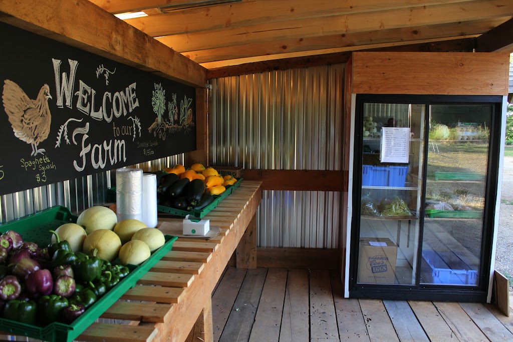 Kehler Vegetable Company | #8083, Black Creek, BC V9J 1G9, Canada | Phone: (250) 202-3236