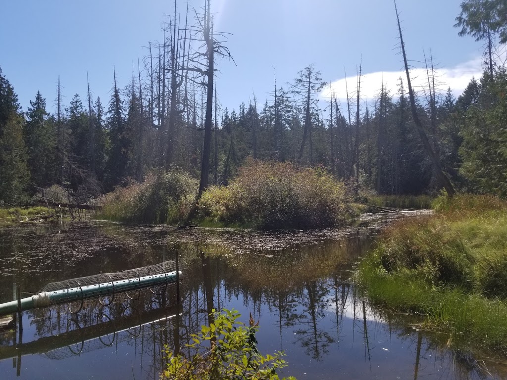 Moorecroft Regional Park | 1563 Stewart Rd, Nanoose Bay, BC V9P 9E7, Canada | Phone: (250) 248-3252