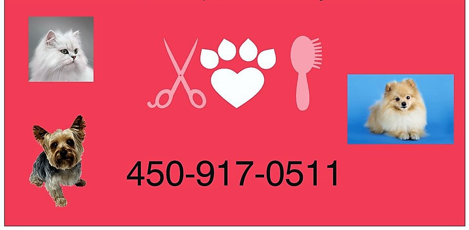 Salon Tonte et Toilettage Renaissance | 1959 QC-337, Sainte-Julienne, QC J0K 2T0, Canada | Phone: (450) 917-0511