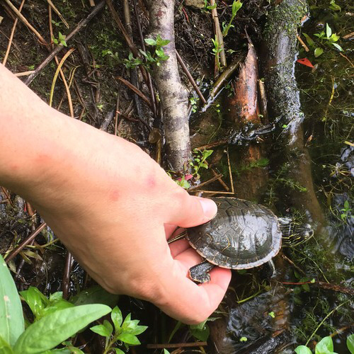 Wildlife Preservation Canada | Suite 234, 5420, ON-6, Guelph, ON N1H 6J2, Canada | Phone: (519) 836-9314