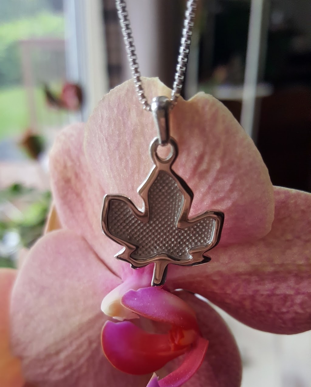 Stan W Tait Jewellery Studio and Gallery | 17 Southview Crescent, Bracebridge, ON P1L 1B4, Canada | Phone: (705) 646-1454