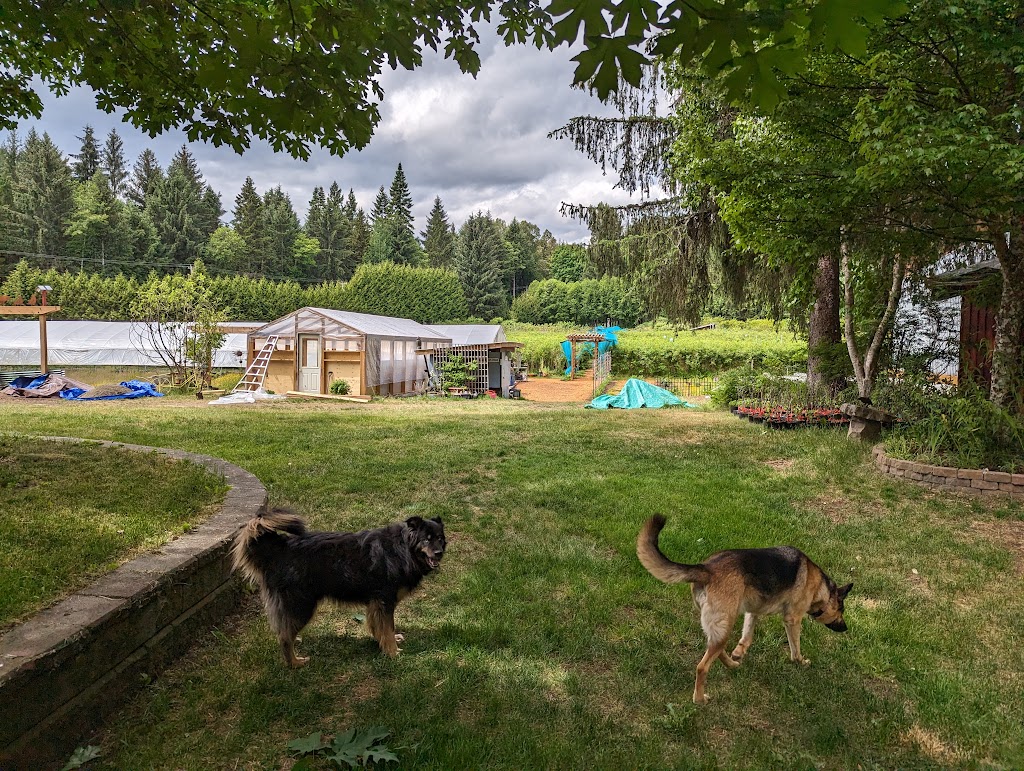 Ravens Moon Craft Cidery | 4905 Darcy Rd, Courtenay, BC V9J 1R5, Canada | Phone: (250) 338-9765