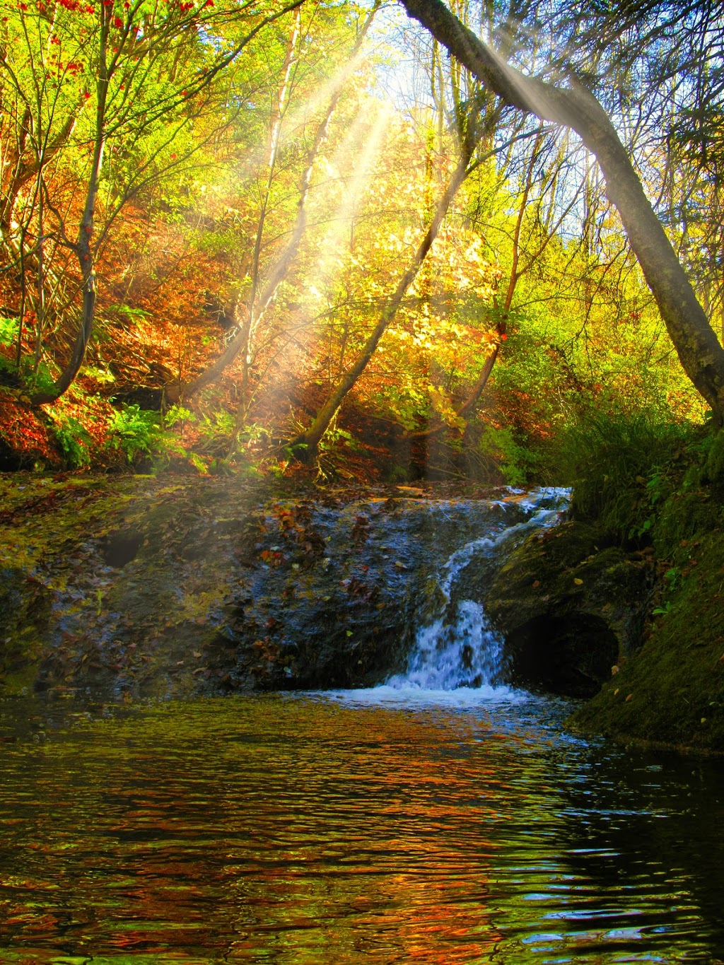 Balmoral Grist Mill | 544 Peter MacDonald Rd, Tatamagouche, NS B0K 1V0, Canada | Phone: (902) 657-3016