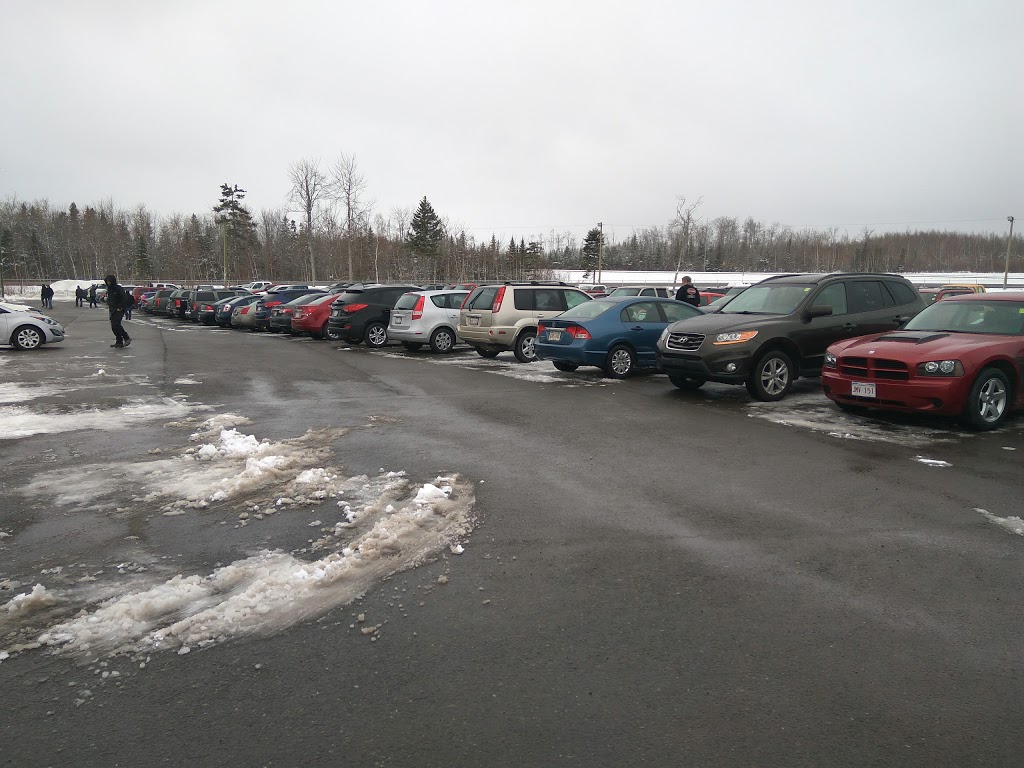 The Great Northern Auction | 2131 NB-128, Berry Mills, NB E1G 4K5, Canada | Phone: (506) 382-2777