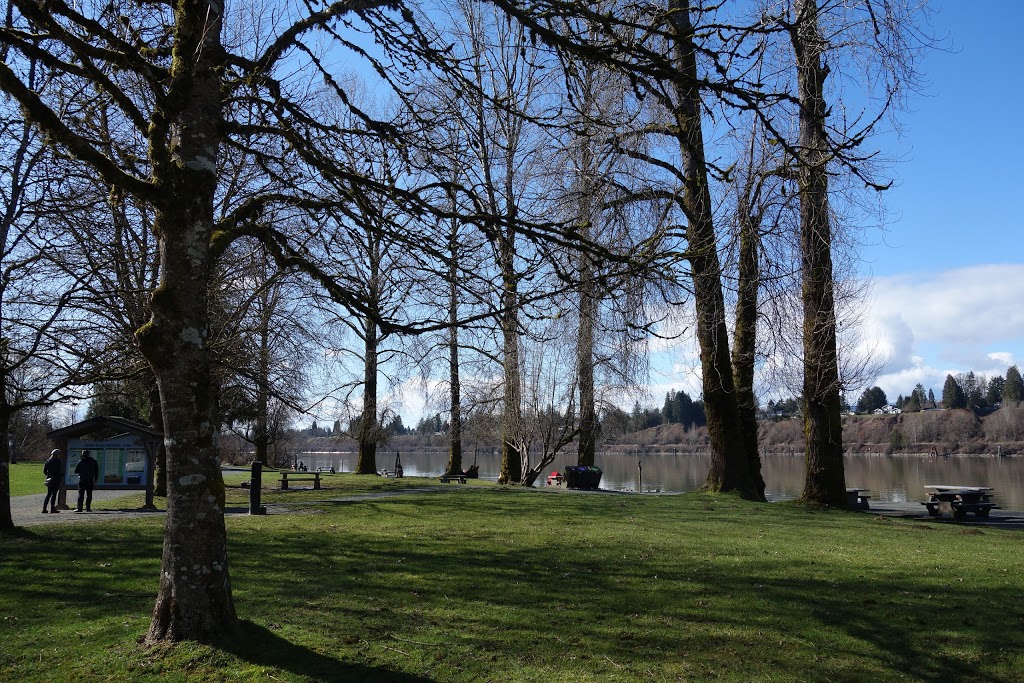 Edgewater Bar Campsite | 21801 Allard Crescent, Langley City, BC V1M 3V9, Canada | Phone: (604) 530-4983