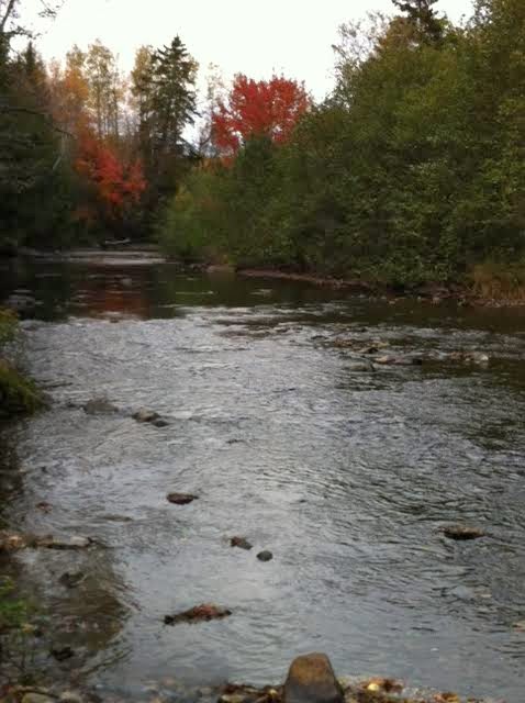 All Done RV Camping | 1468 Route 890, Newtown, NB E4G 1N2, Canada | Phone: (506) 869-0547