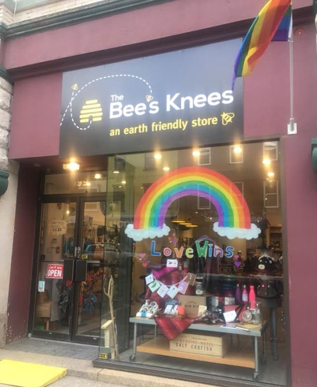 The Bees Knees | book store | 199 Water St, St. Johns, NL A1C 1B4, Canada | 7097382337 OR +1 709-738-2337