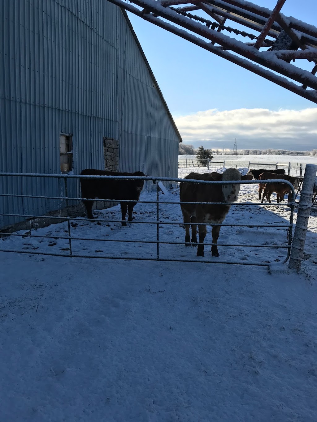 Woodland Farms | 4672 Sixteen Rd, Saint Anns, ON L0R 1Y0, Canada | Phone: (289) 213-0149