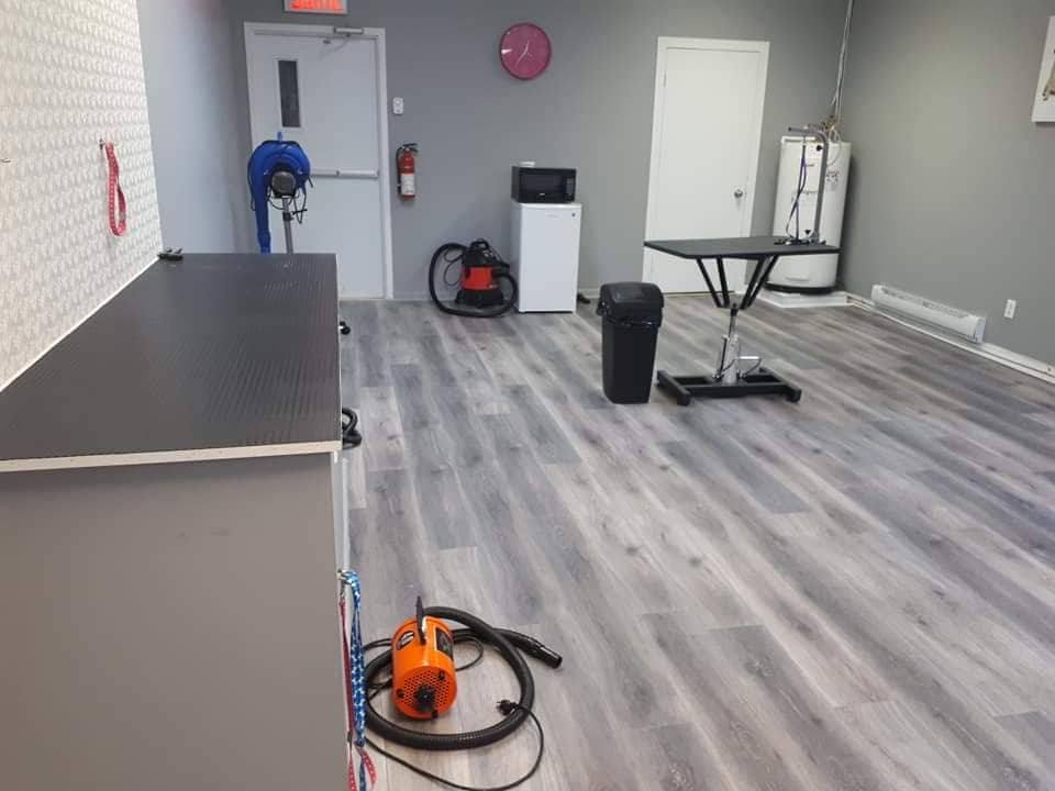 Toilettage Beaute Canin Mercier | 755-C Boulevard Saint-Jean-Baptiste, Mercier, QC J6R 1G1, Canada | Phone: (450) 201-0899