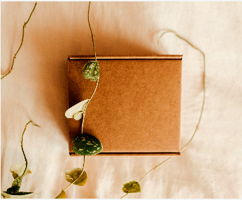 The Local Shop Box | 4 Wimbledon Way, Kanata, ON K2K 3J2, Canada | Phone: (905) 903-7647