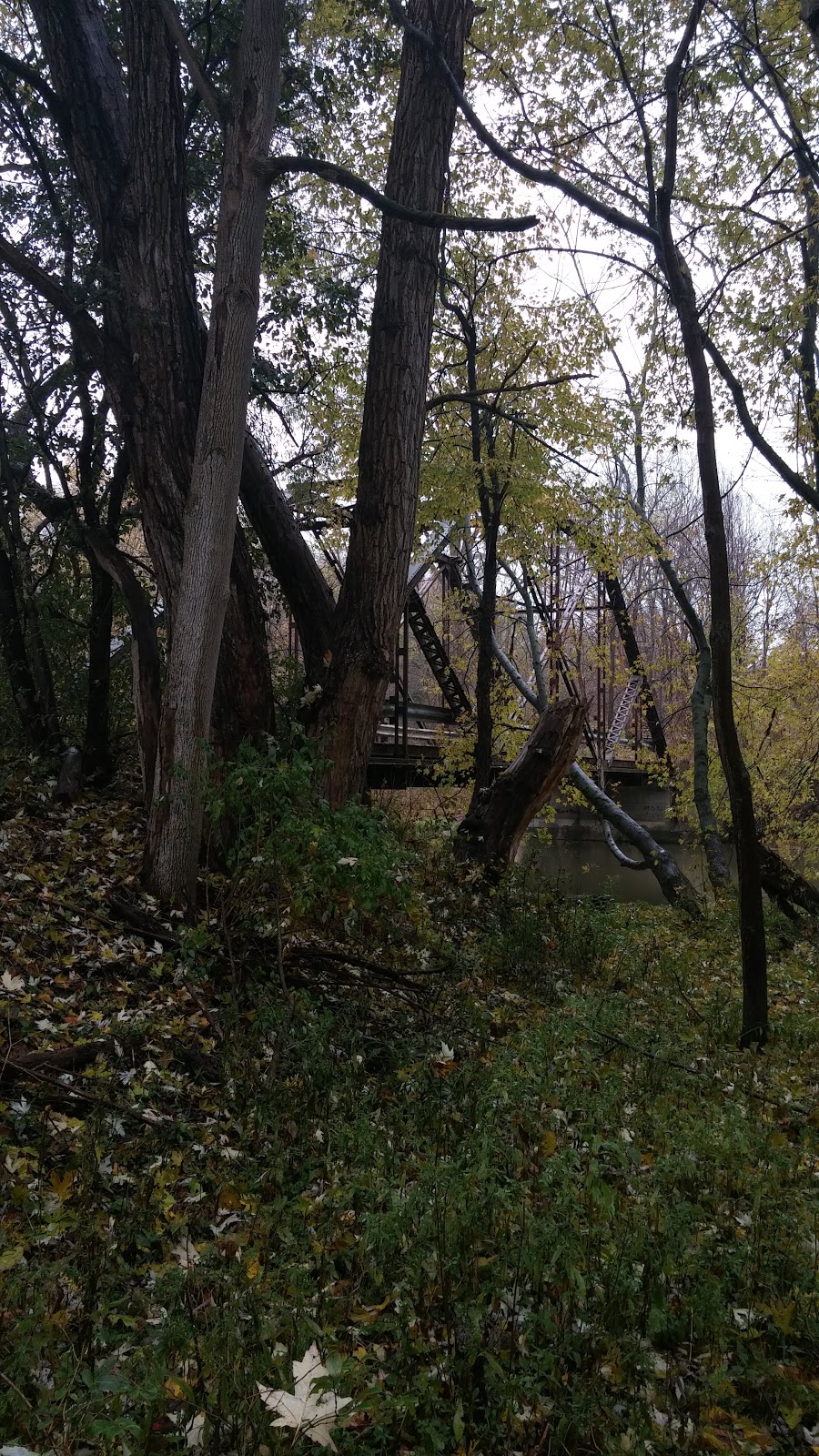 Kettlecreek Conservation | 10518 Dalewood Rd, St. Thomas, ON N5P 3T3, Canada | Phone: (519) 631-1009