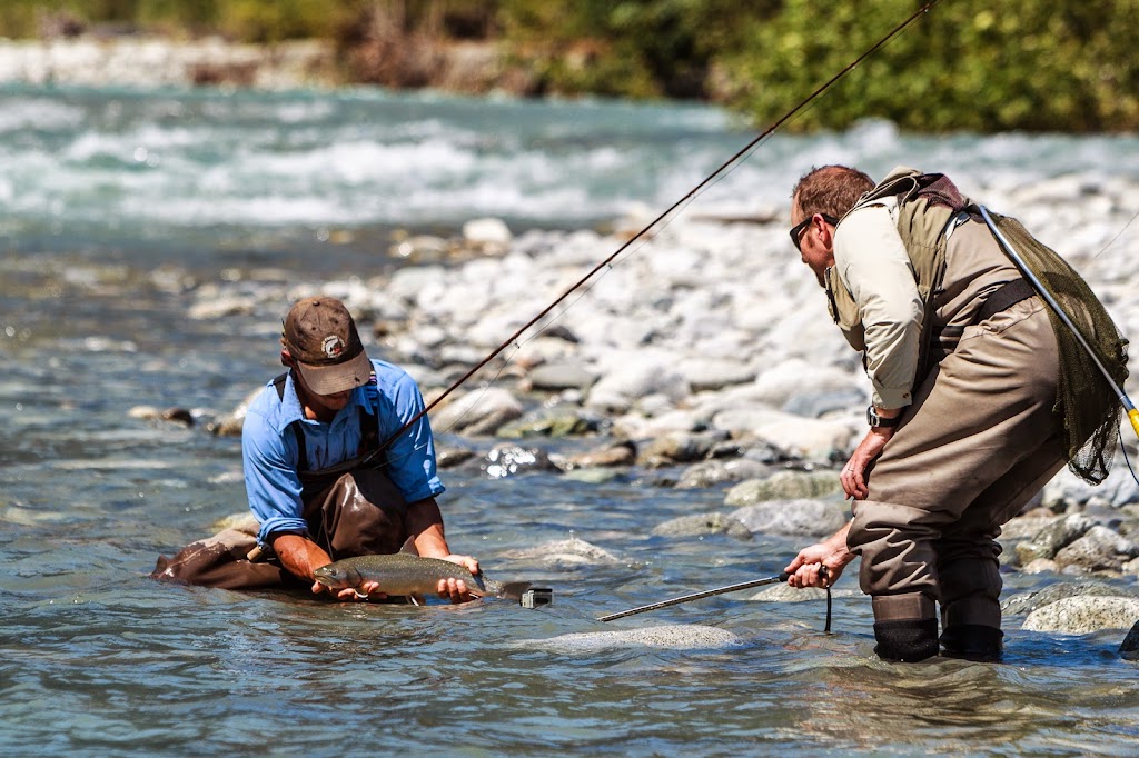 Valley Fishing Guides Ltd. | 41955 Birken Rd, Brackendale, BC V0N 1H0, Canada | Phone: (604) 938-4458
