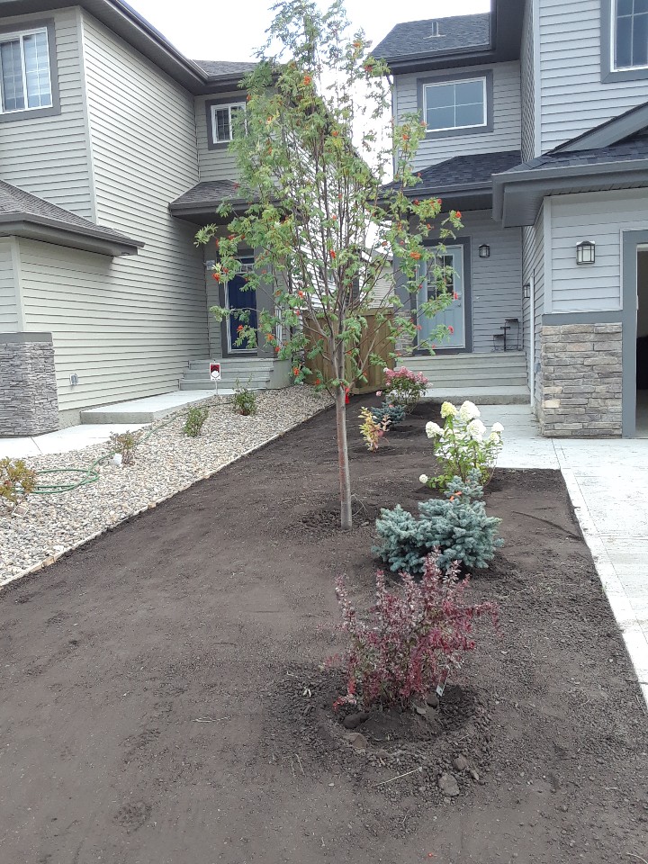 Ever Landscaping ltd | 17576 59 St NW, Edmonton, AB T5Y 0T9, Canada | Phone: (780) 240-7194