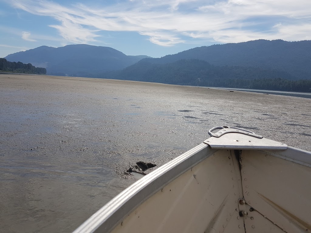 Strawberry Island | Trans Canada Trail, Fraser Valley G, BC V0M 1H0, Canada