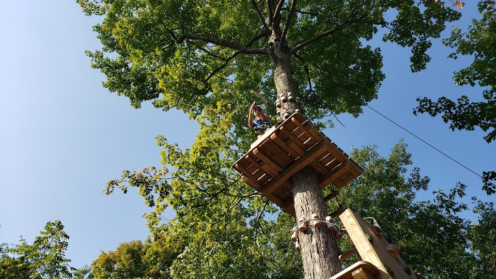 Treetop Trekking Hamilton | 5050 Harrison Rd, Binbrook, ON L0R 1C0, Canada | Phone: (289) 286-1016