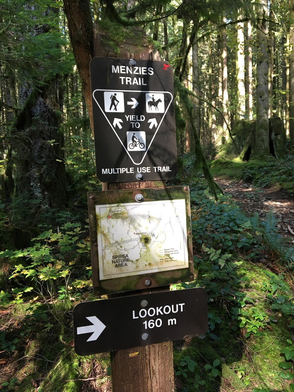 Lookout Trail | Golden Ears Pkwy, Maple Ridge, BC V0M, Canada