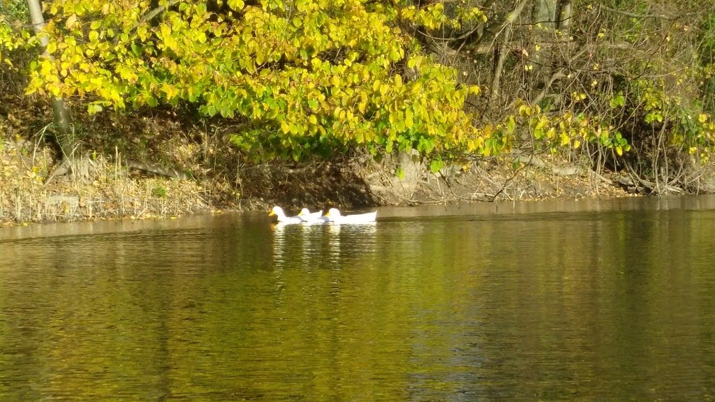 Belle River Launch | 1956 Belle River Rd, East China, MI 48054, USA