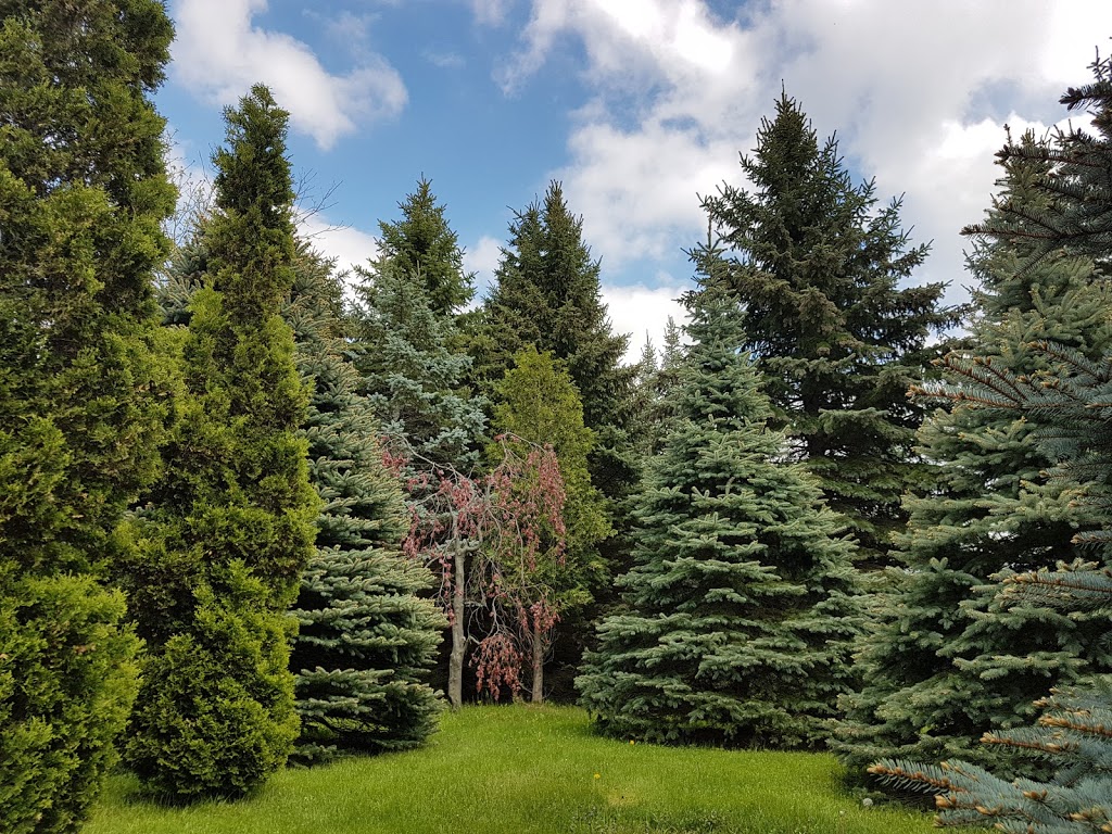 Cerelli Tree Farm | 8042 Appleby Line, Milton, ON L9T 2Y1, Canada | Phone: (905) 299-9677