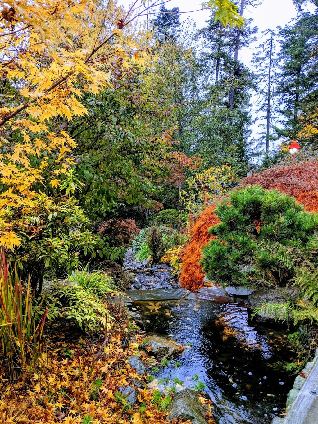 Japanese Gardens | Esquimalt, BC V9A, Canada