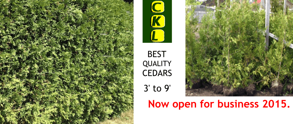 Cumberland Kanata Landscaping | 3547 St Joseph Blvd, Orléans, ON K4A 0Z4, Canada | Phone: (613) 830-4832