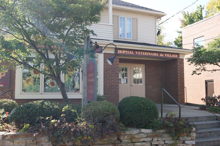 Hôpital Vétérinaire du Village | 276-A Chemin du Bord-du-Lac, Pointe-Claire, QC H9S 4K9, Canada | Phone: (514) 694-1927