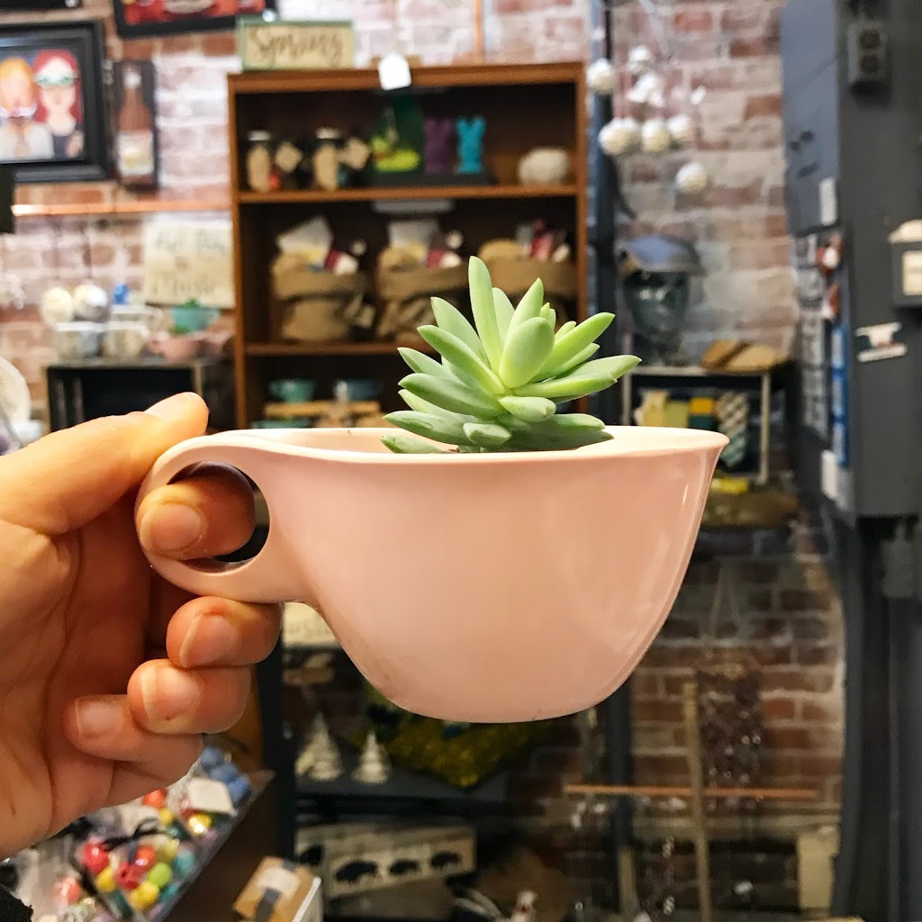 Buffalo ShopCraft, LLC | 773 Elmwood Ave, Buffalo, NY 14222, USA | Phone: (716) 218-9511