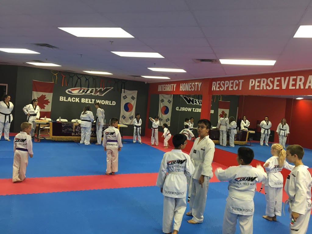 Black Belt World Barrie East | 201 Hurst Dr #6, Barrie, ON L4N 8K8, Canada | Phone: (705) 812-8007