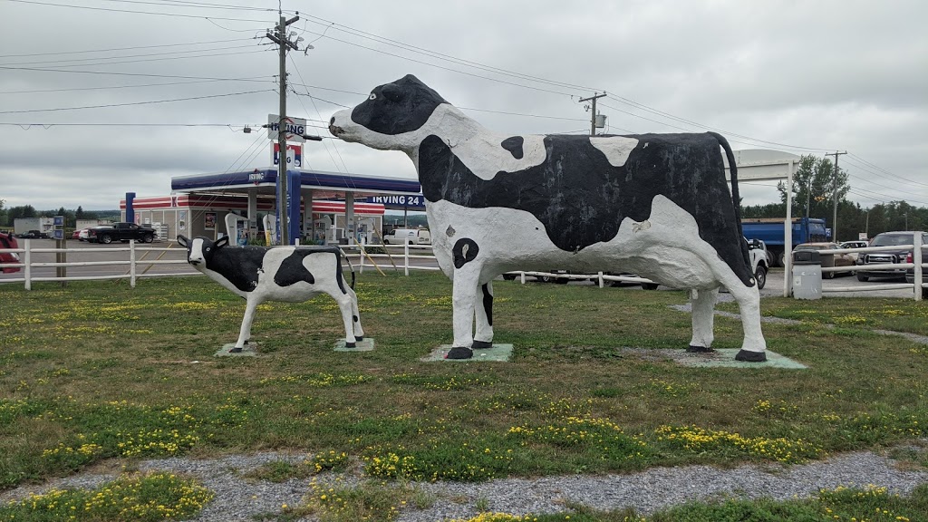 Irving Oil | 11 Route 890, Sussex, NB E4G 2V8, Canada | Phone: (506) 433-6322