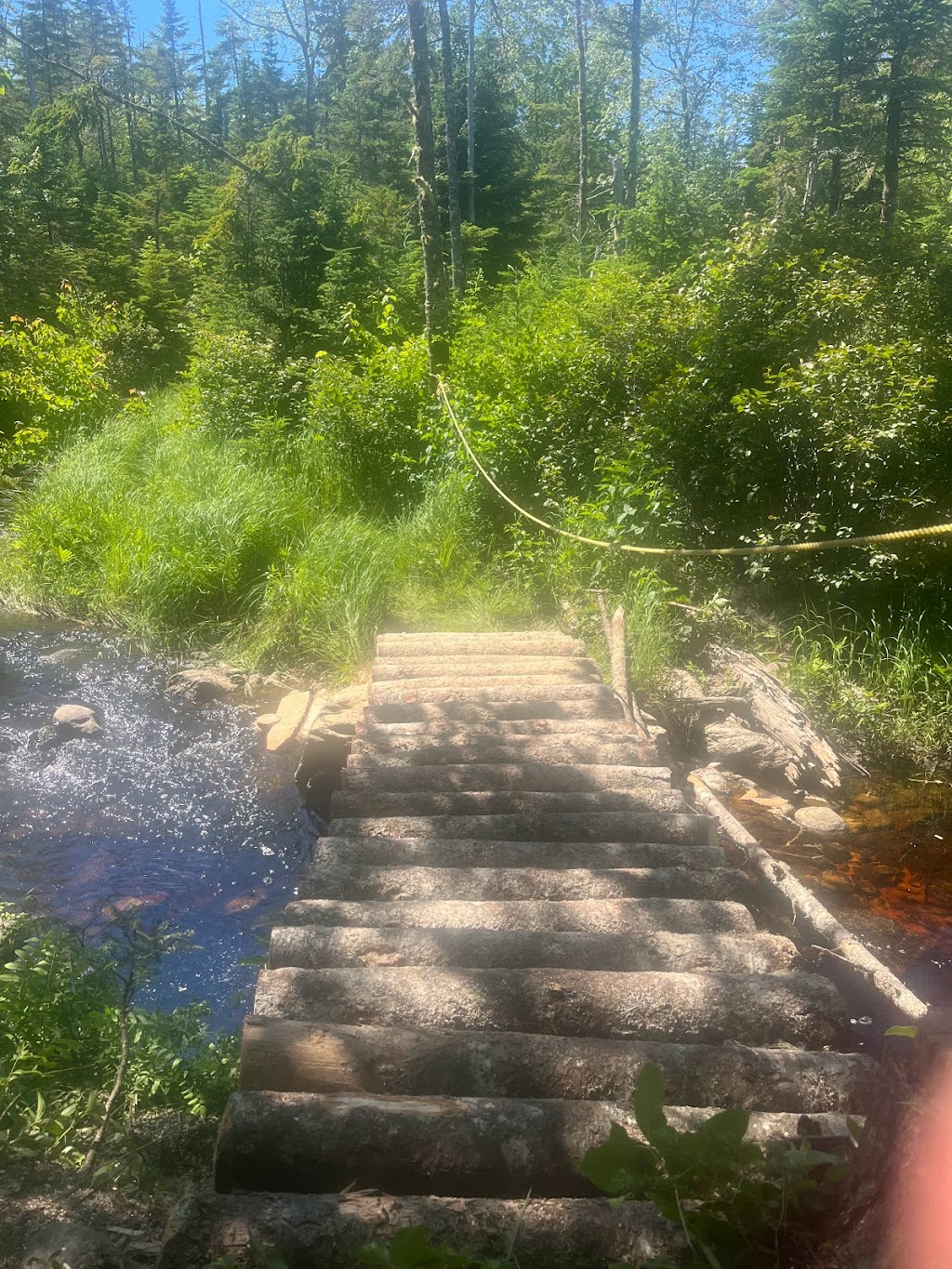 Sean Ashe Forestry | 1940 NS-211, Sherbrooke, NS B0J 3C0, Canada | Phone: (902) 318-0066