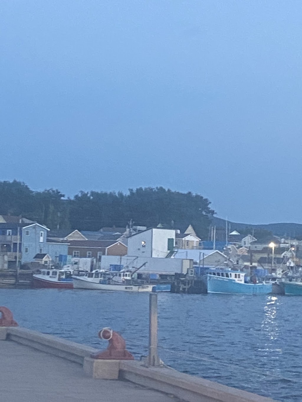Poirier Fish Ltd | 15347 Cabot Trail, Chéticamp, NS B0E 1H0, Canada | Phone: (902) 224-2158