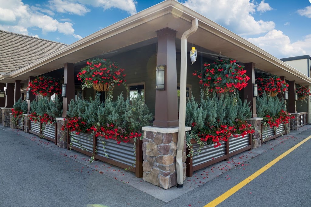 M.T. Bellies | 871 Niagara St, Welland, ON L3C 1M4, Canada | Phone: (905) 788-9474