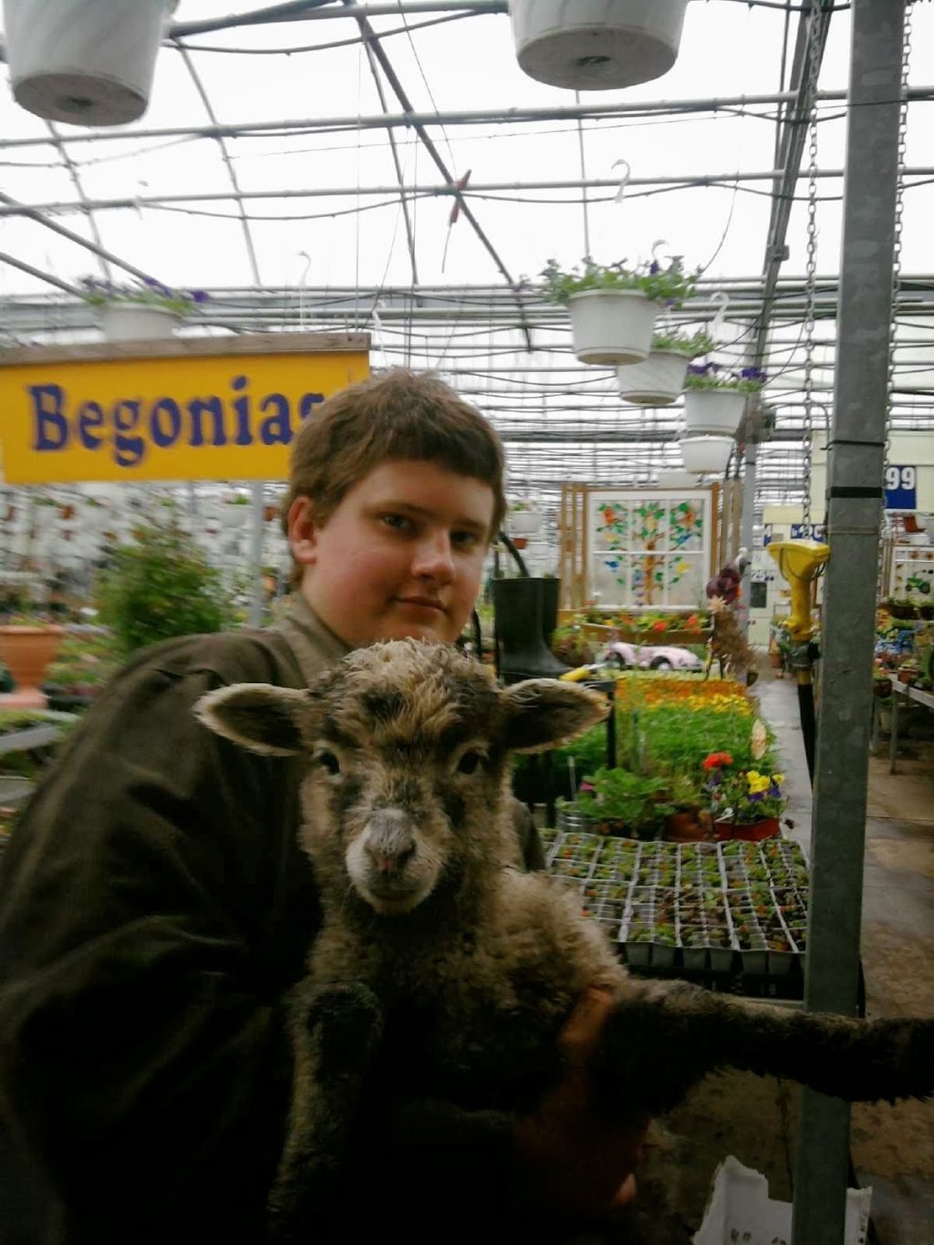 St. Clair Greenhouses & Florist | 7043 Big Hand Rd, St Clair, MI 48079, USA | Phone: (810) 488-0078