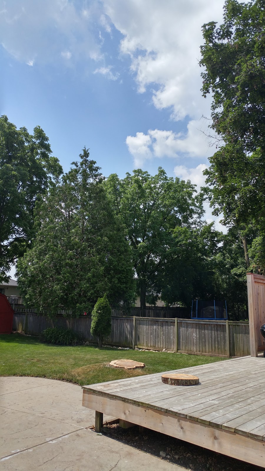 Beauregard Tree Service | 55 River Rd, Brantford, ON N3T 5L6, Canada | Phone: (519) 756-3489