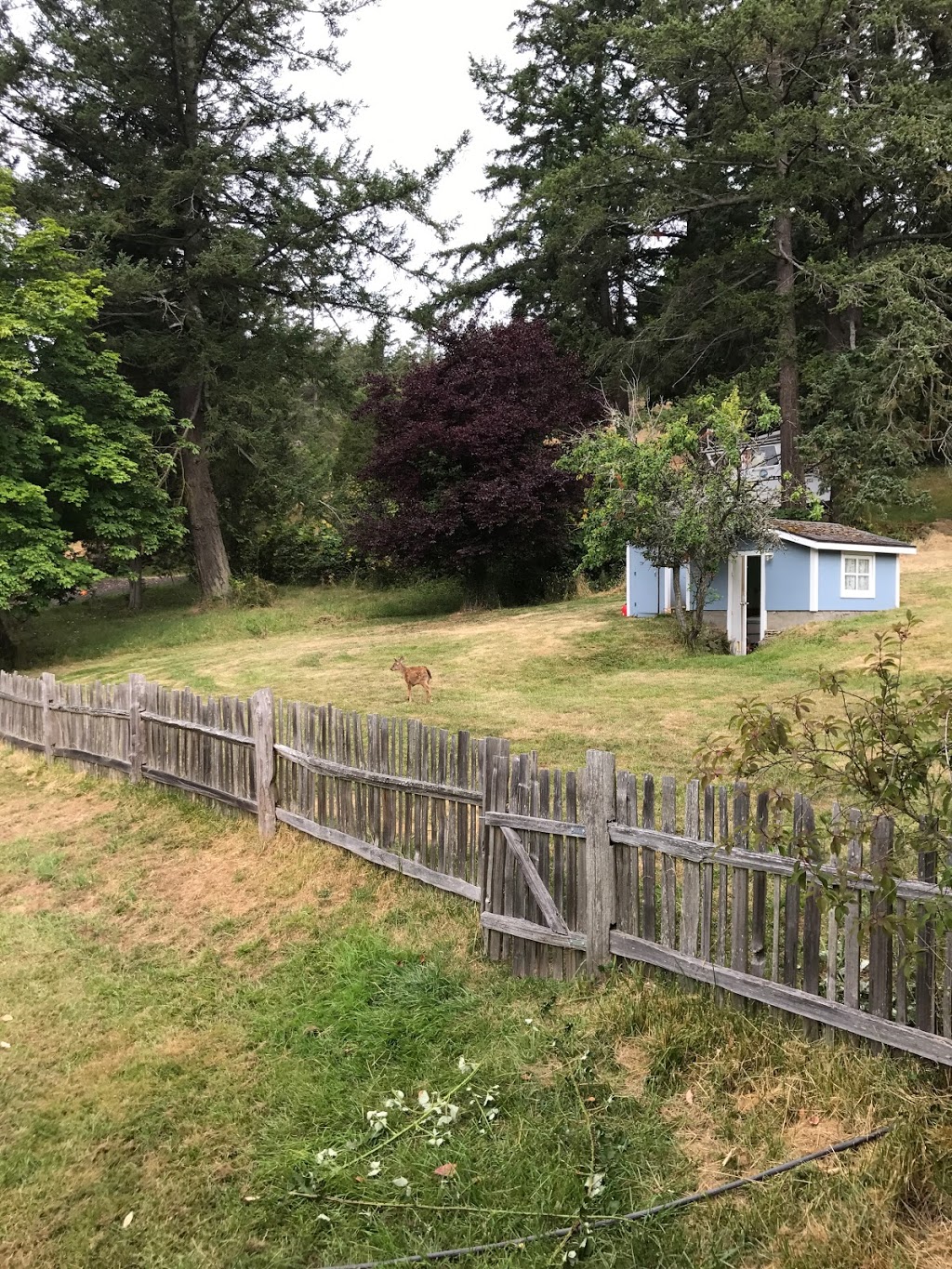 Blue Heron Rooms and Glamping | 982 Deer Harbor Rd, Eastsound, WA 98245, USA | Phone: (360) 376-4198