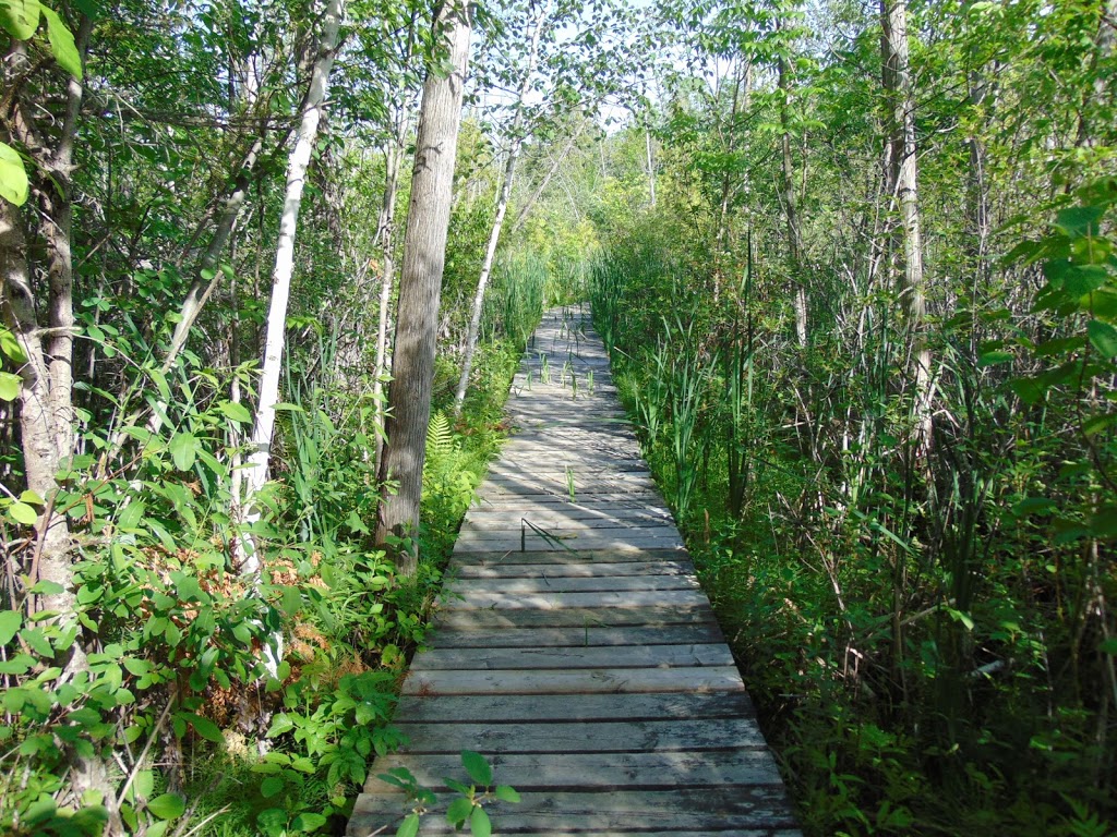 Macnamara Nature Trail | 284 McNab St #206, Arnprior, ON K7S 3T2, Canada