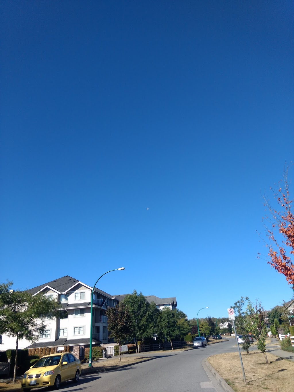 Sunset Grove | 6500 194 St, Surrey, BC V4N 5X4, Canada | Phone: (604) 532-7711