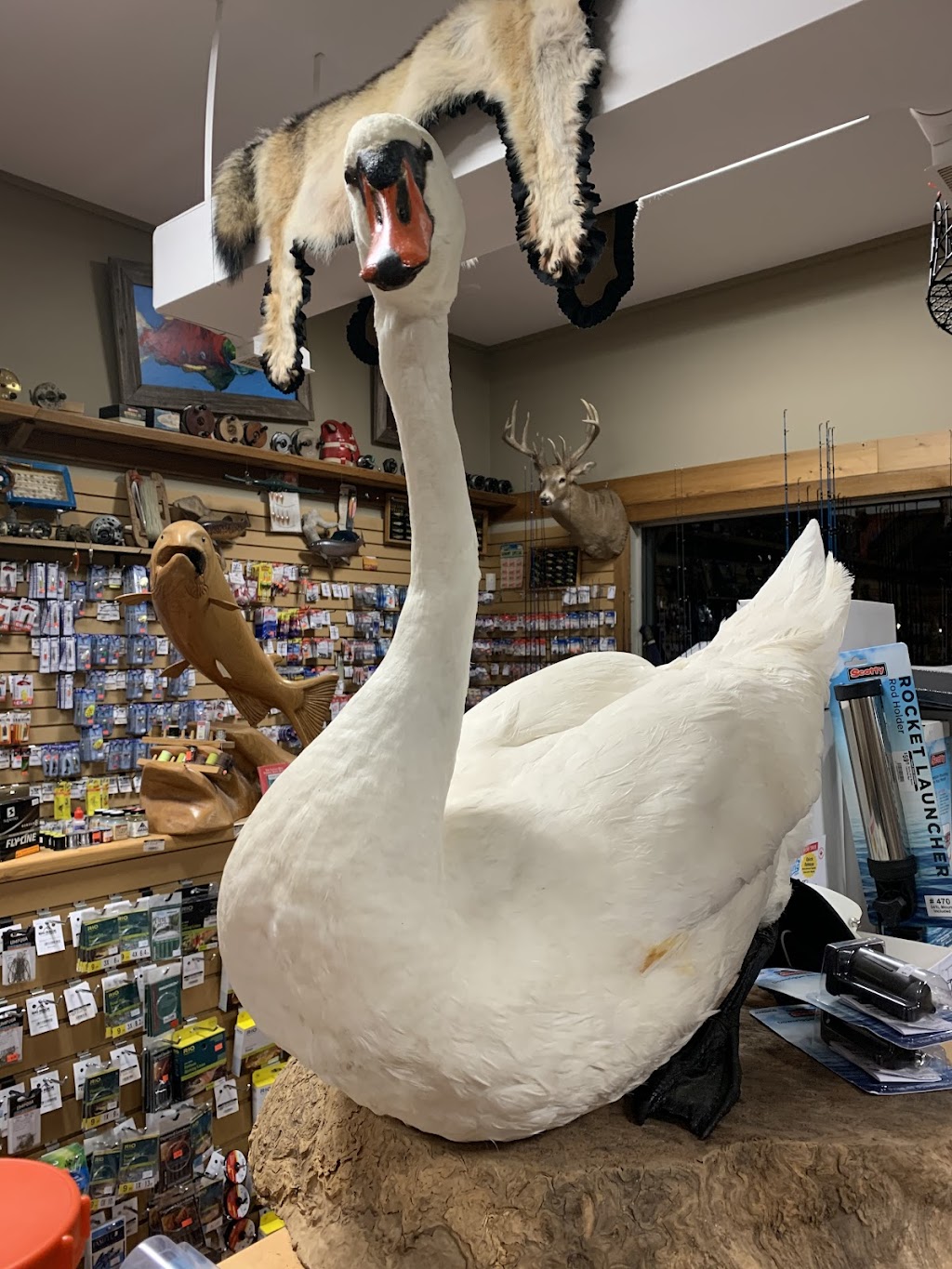 Powell River Outdoors | 4466 Marine Ave, Powell River, BC V8A 2K2, Canada | Phone: (604) 485-4868