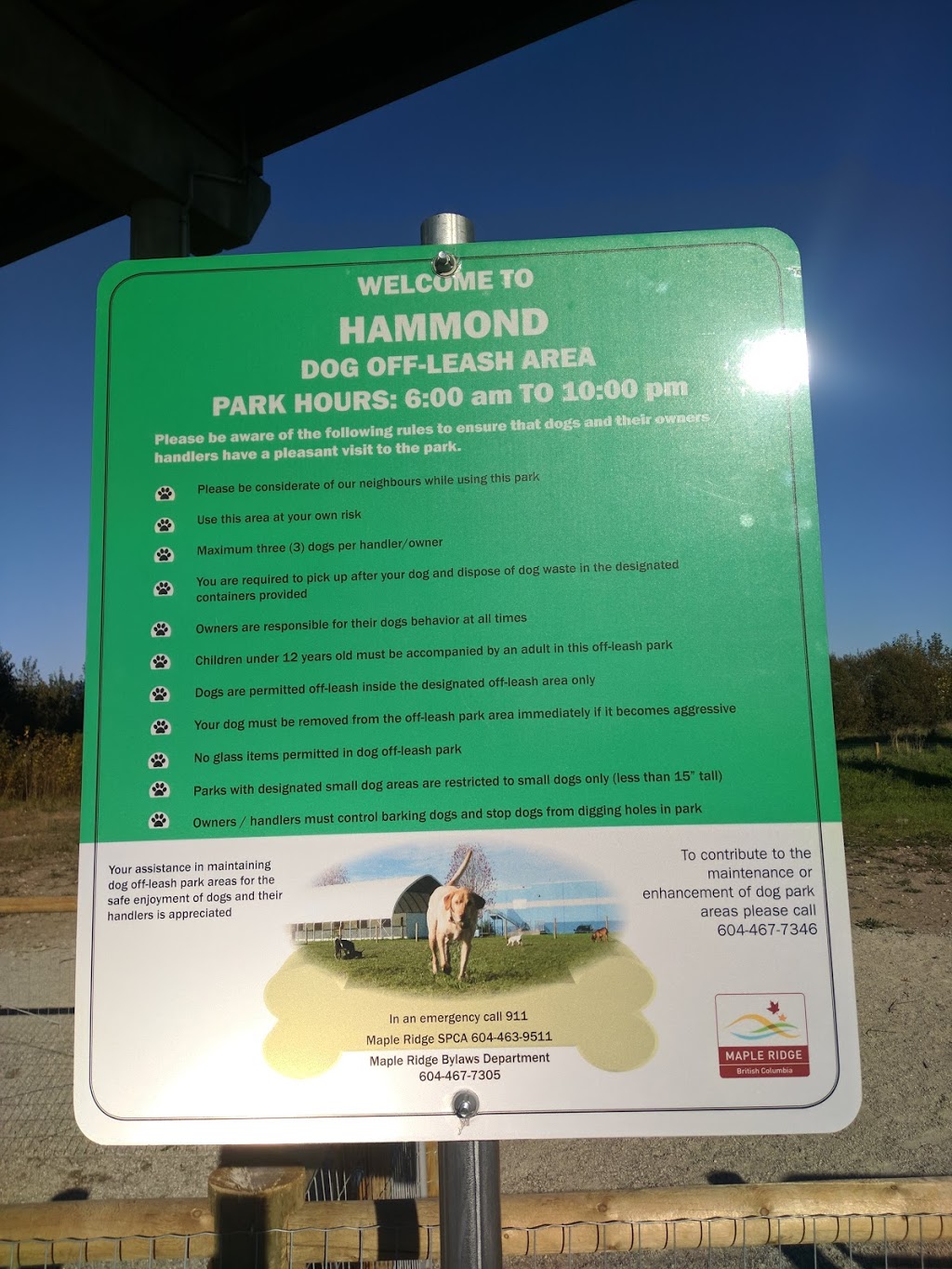 Hammond Dog Park | 20015 Wharf St, Maple Ridge, BC BC V2X 1A1, Canada | Phone: (604) 467-7346